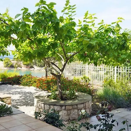 Apollo House בית נופש *